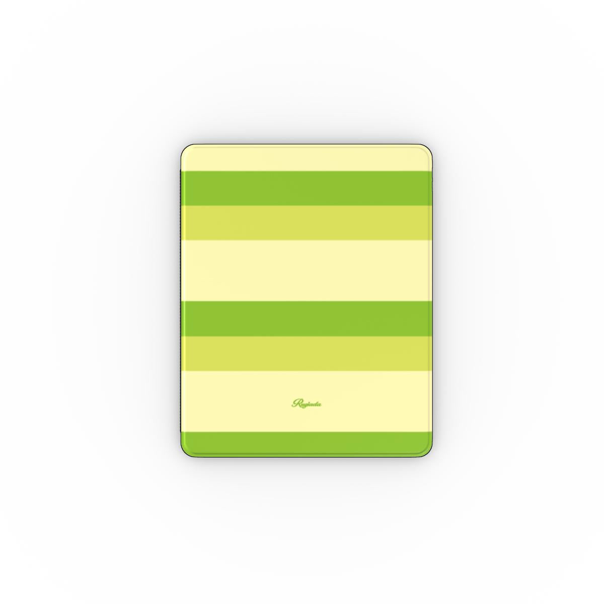 iPad Case Tinkerbell