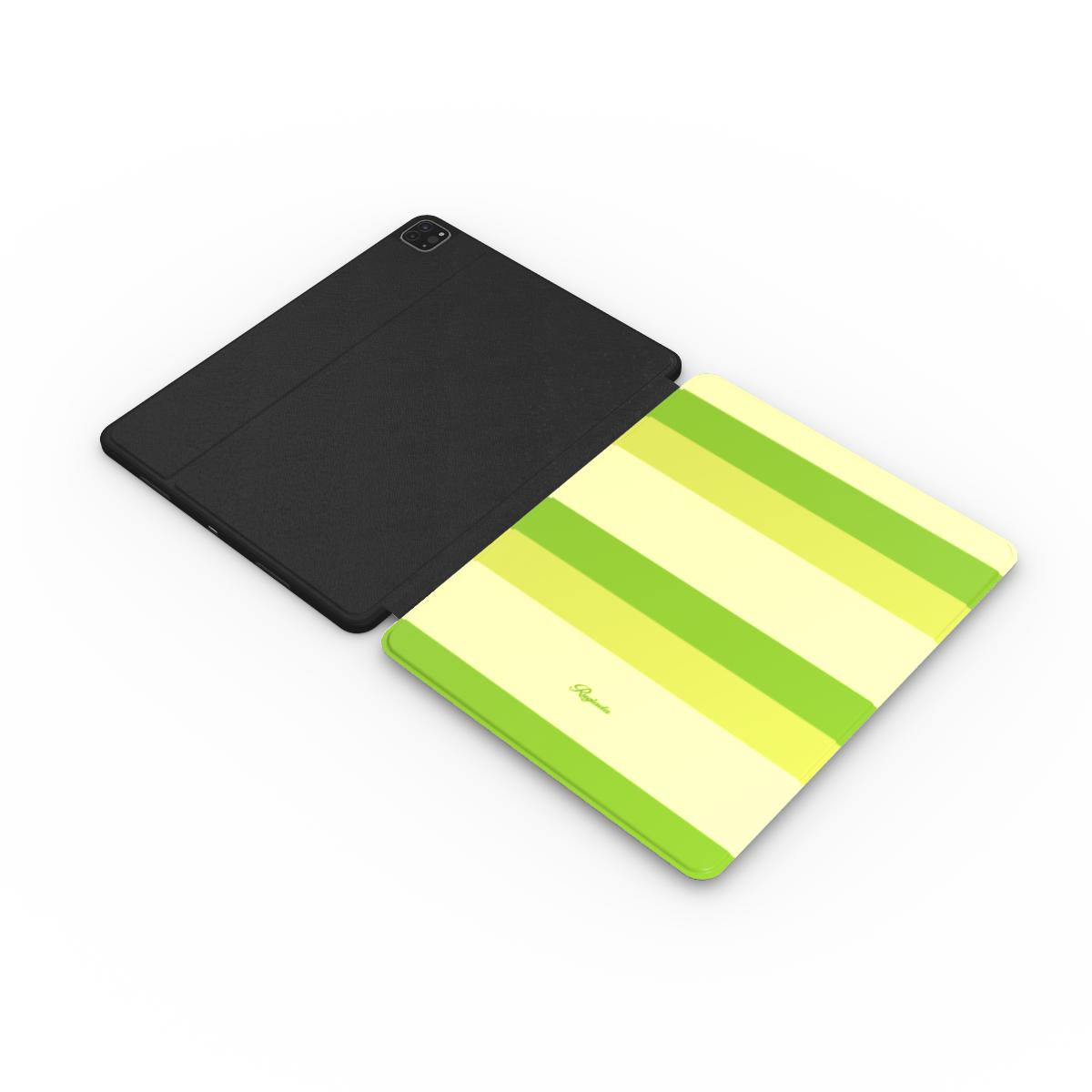 iPad Case Tinkerbell
